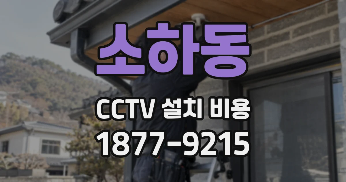 소하동 CCTV 설치 비용