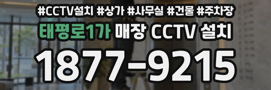 태평로1가 매장 CCTV 설치