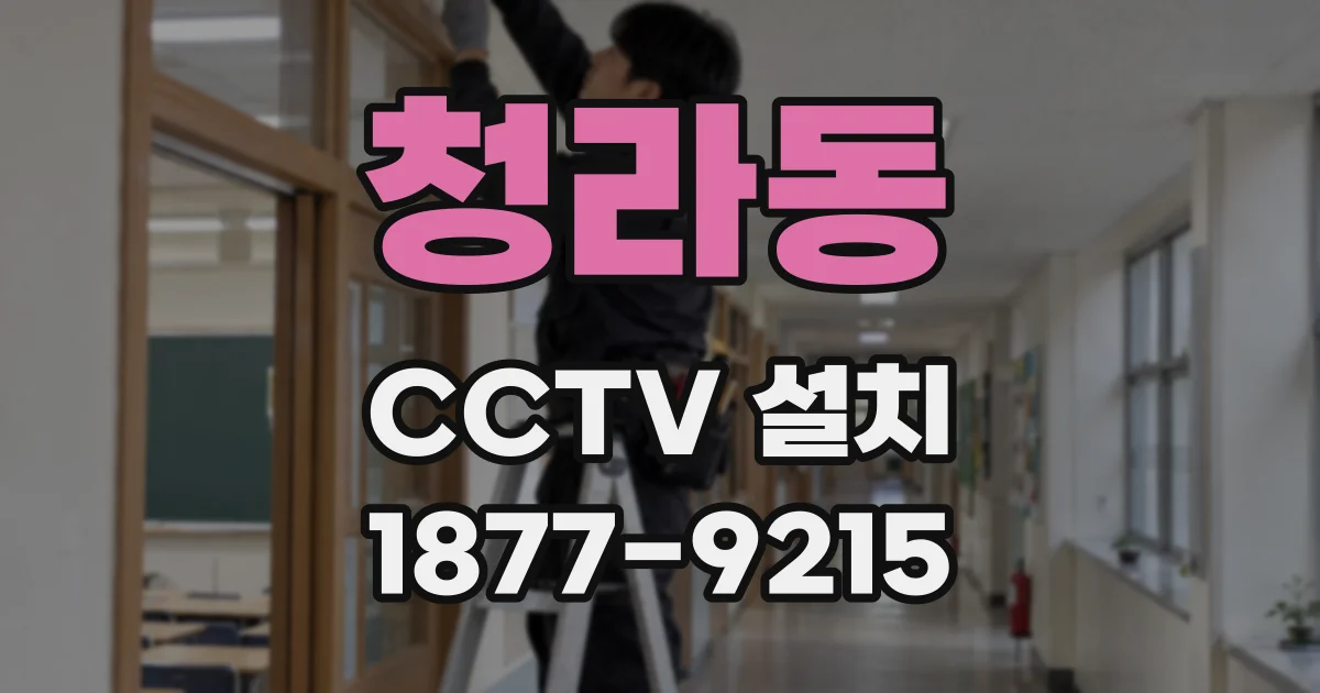 청라동 CCTV 설치