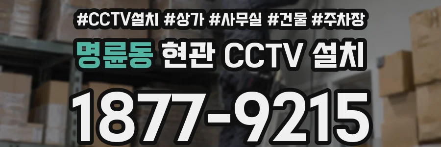 명륜동 현관 CCTV 설치