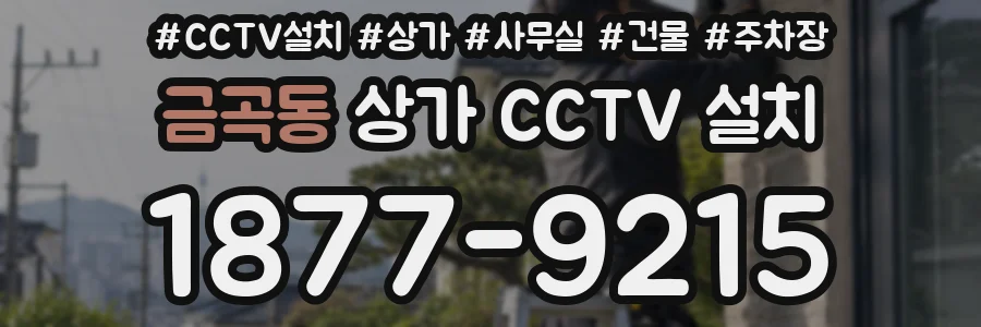 금곡동 상가 CCTV 설치