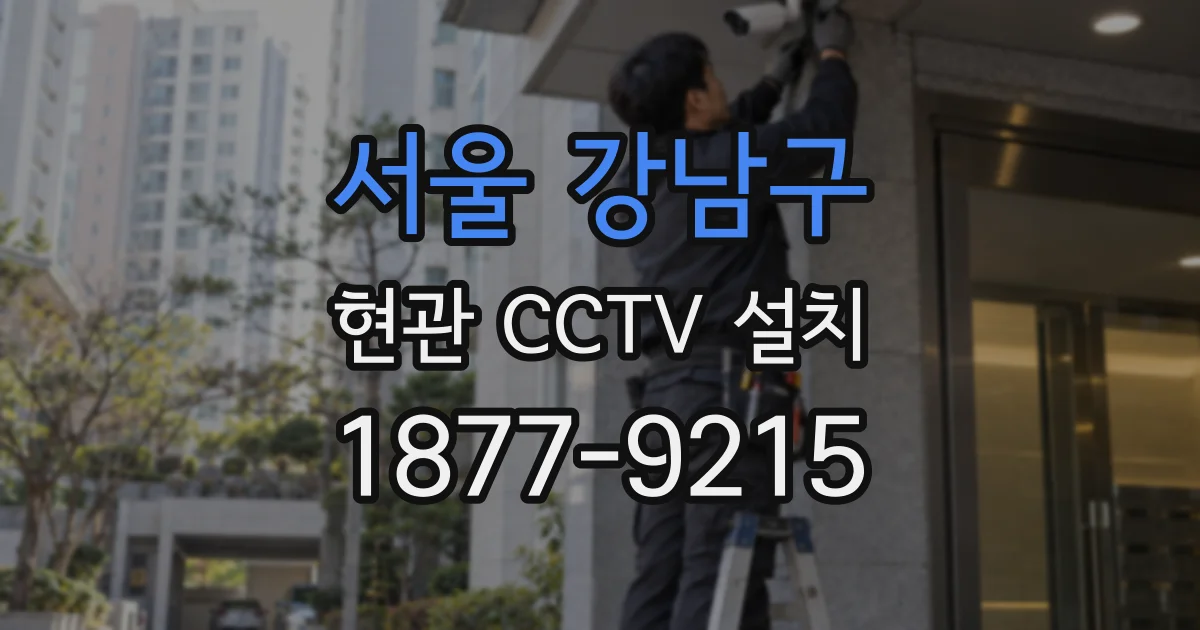 서울 강남구 현관 CCTV 설치