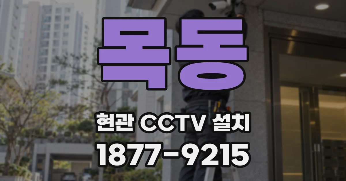 목동 현관 CCTV 설치