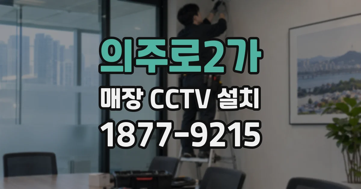 의주로2가 매장 CCTV 설치