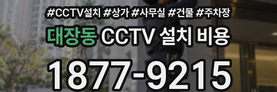 대장동 CCTV 설치 비용