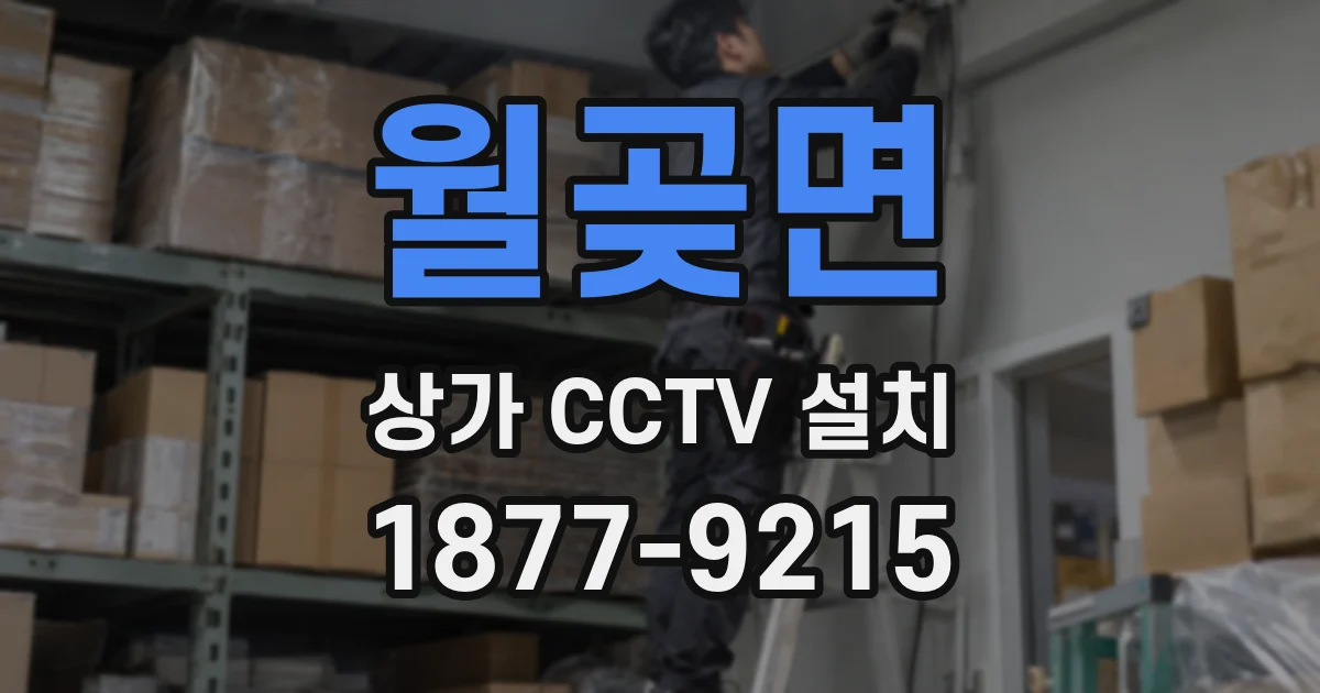 월곶면 상가 CCTV 설치