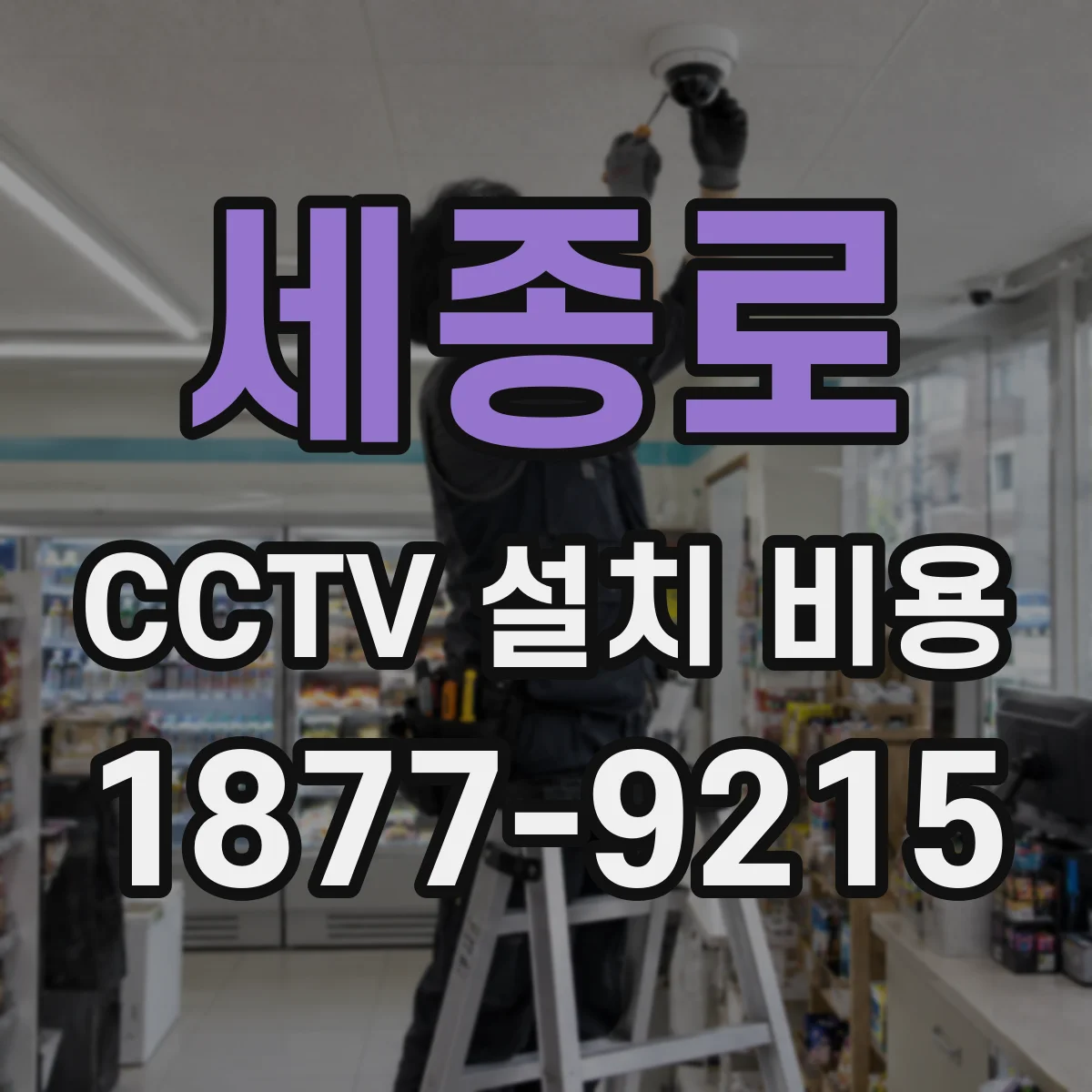 세종로 CCTV 설치 비용