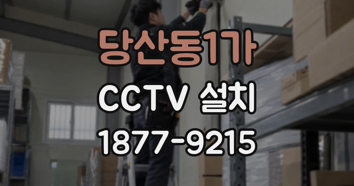 당산동1가 CCTV 설치