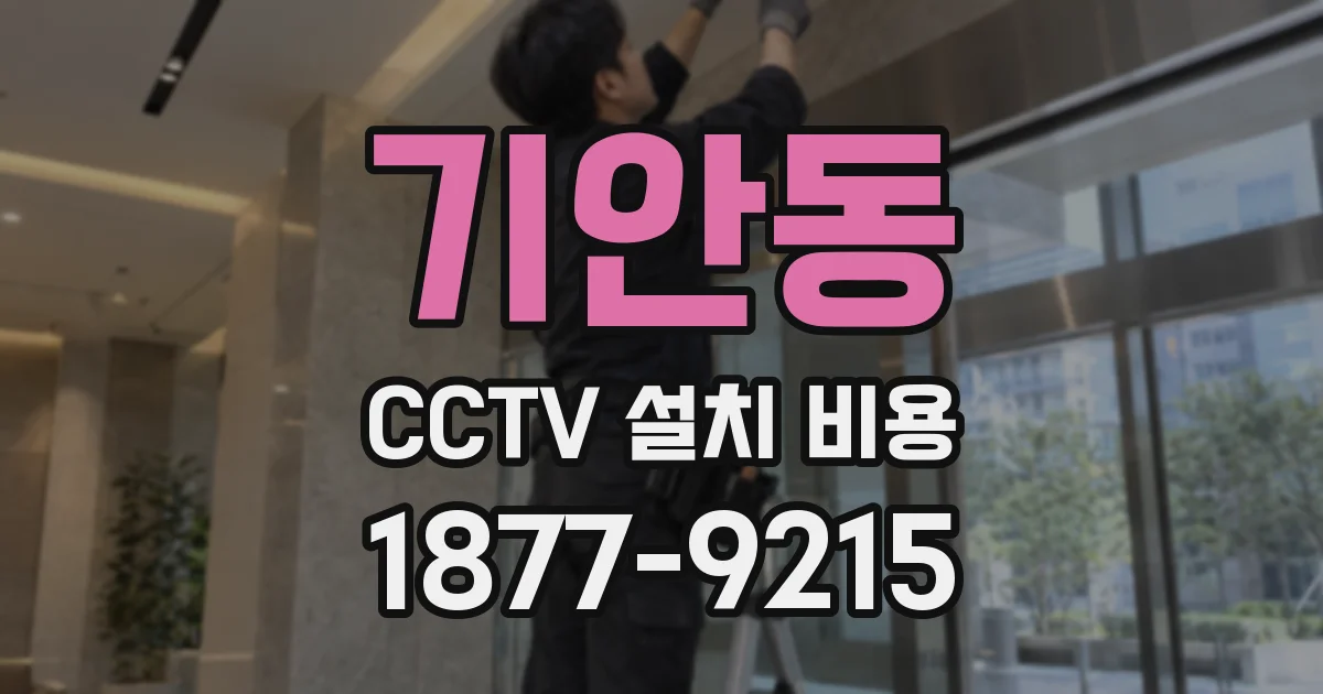 기안동 CCTV 설치 비용