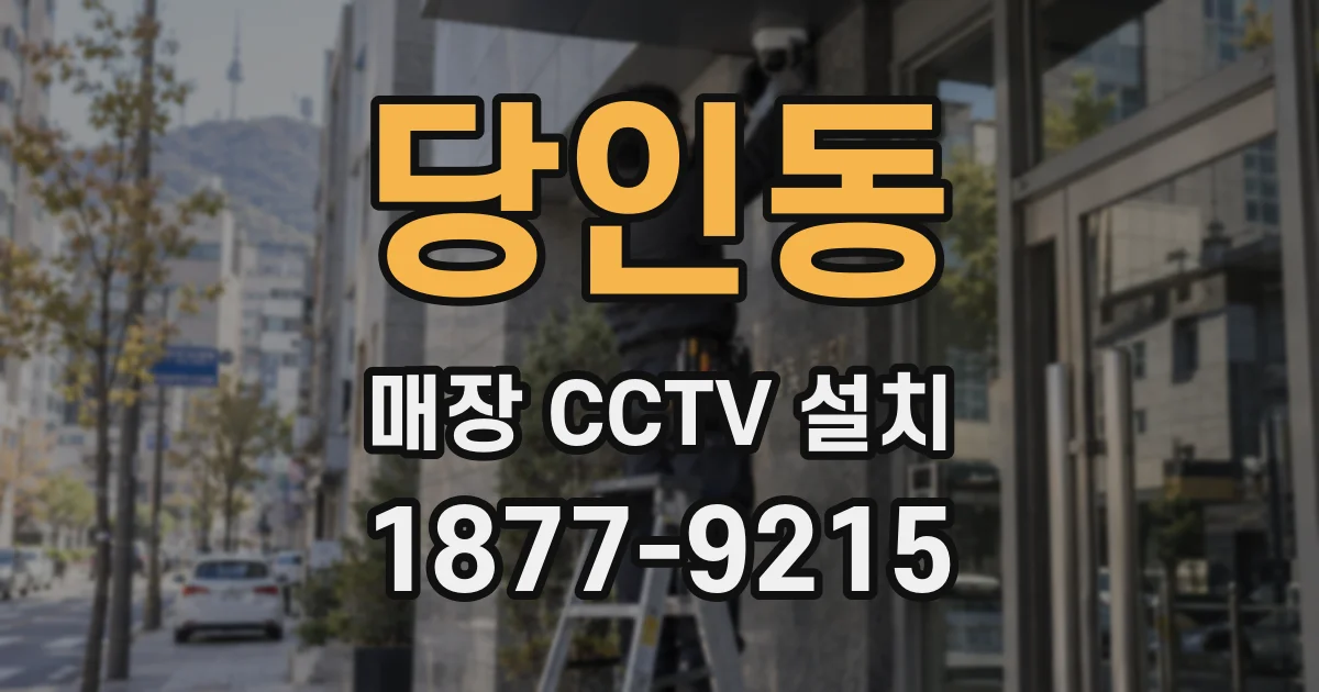 당인동 매장 CCTV 설치