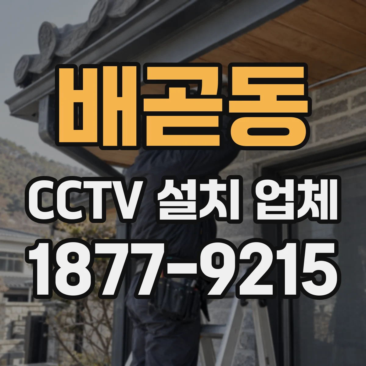 배곧동 CCTV 설치 업체