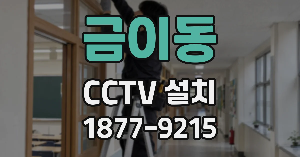 금이동 CCTV 설치
