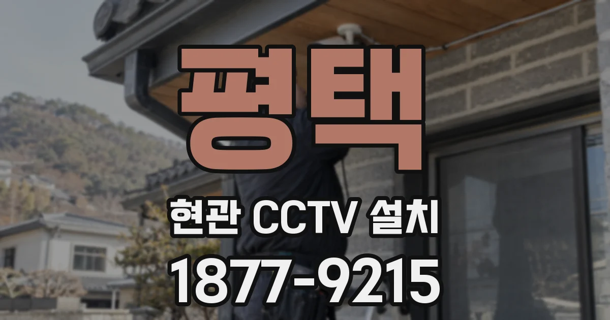 평택 현관 CCTV 설치