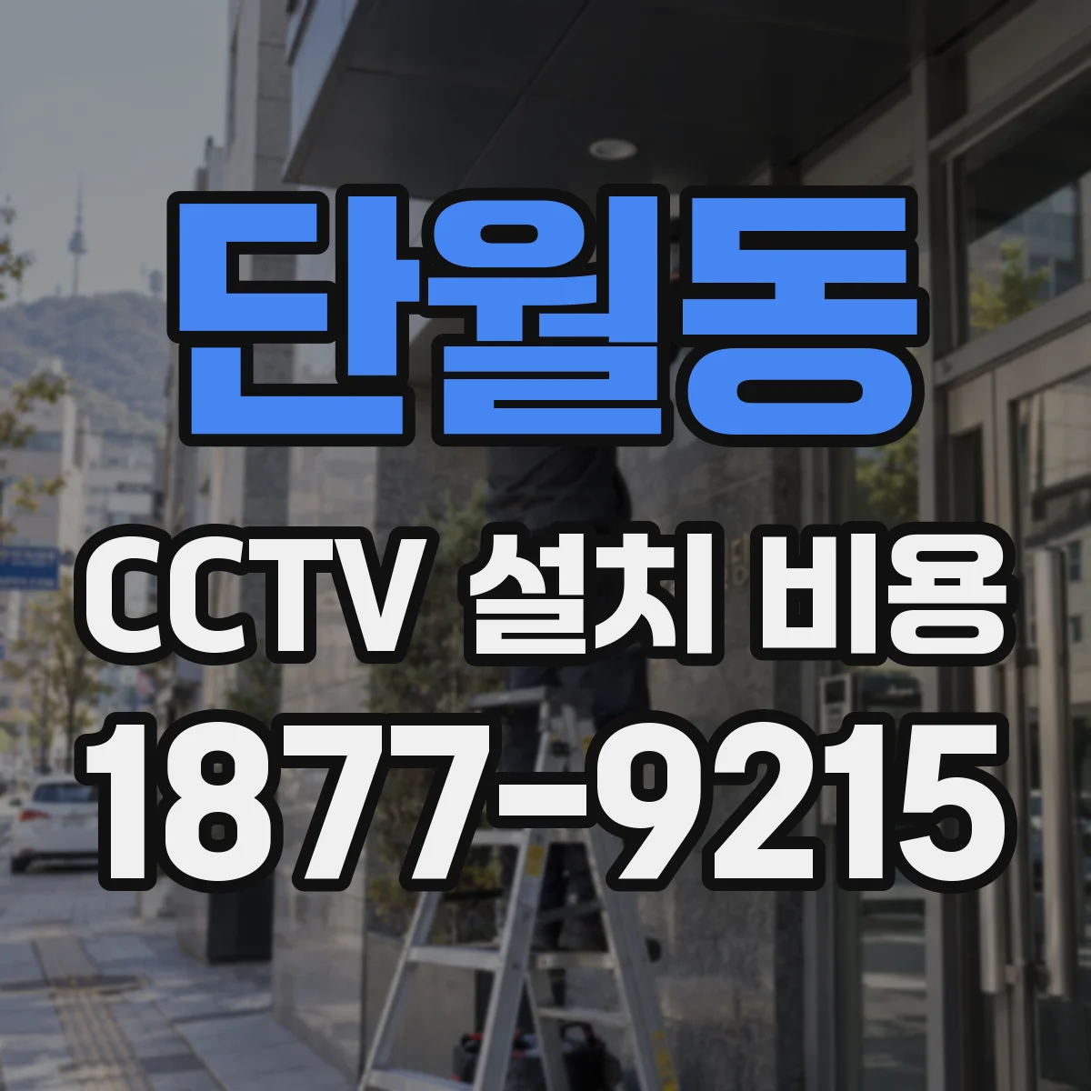 단월동 CCTV 설치 비용