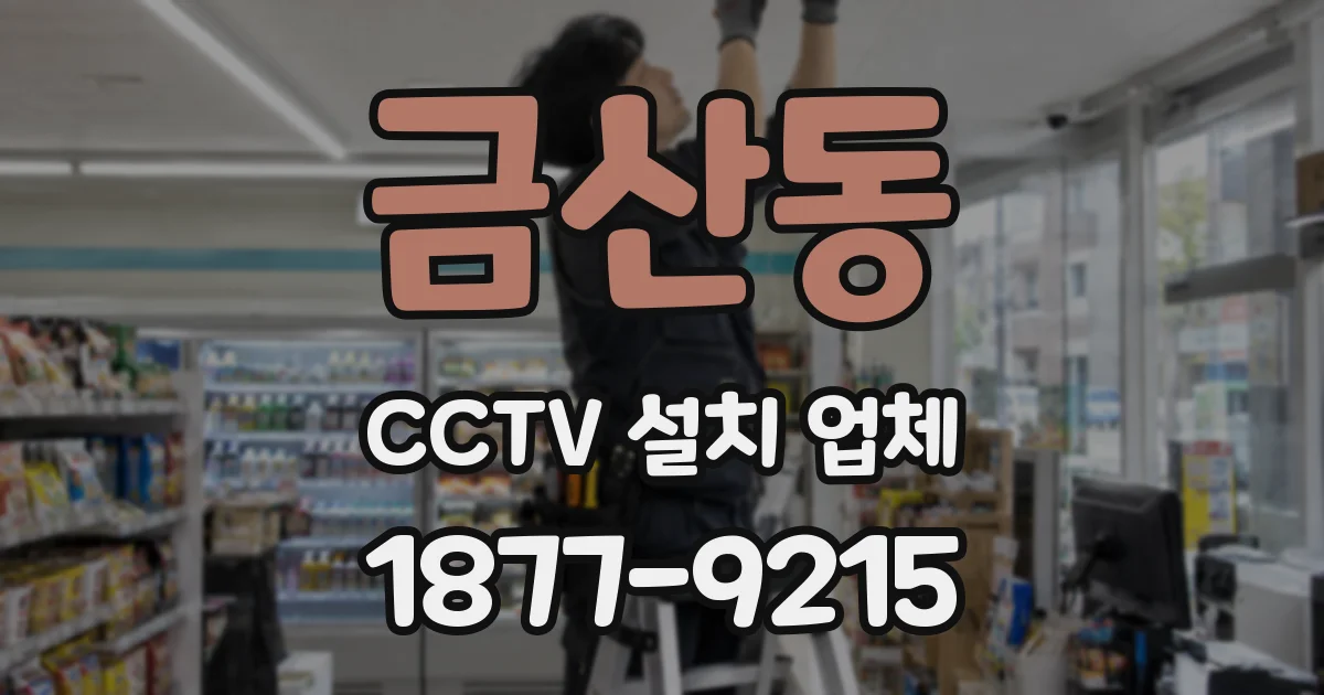 금산동 CCTV 설치 업체