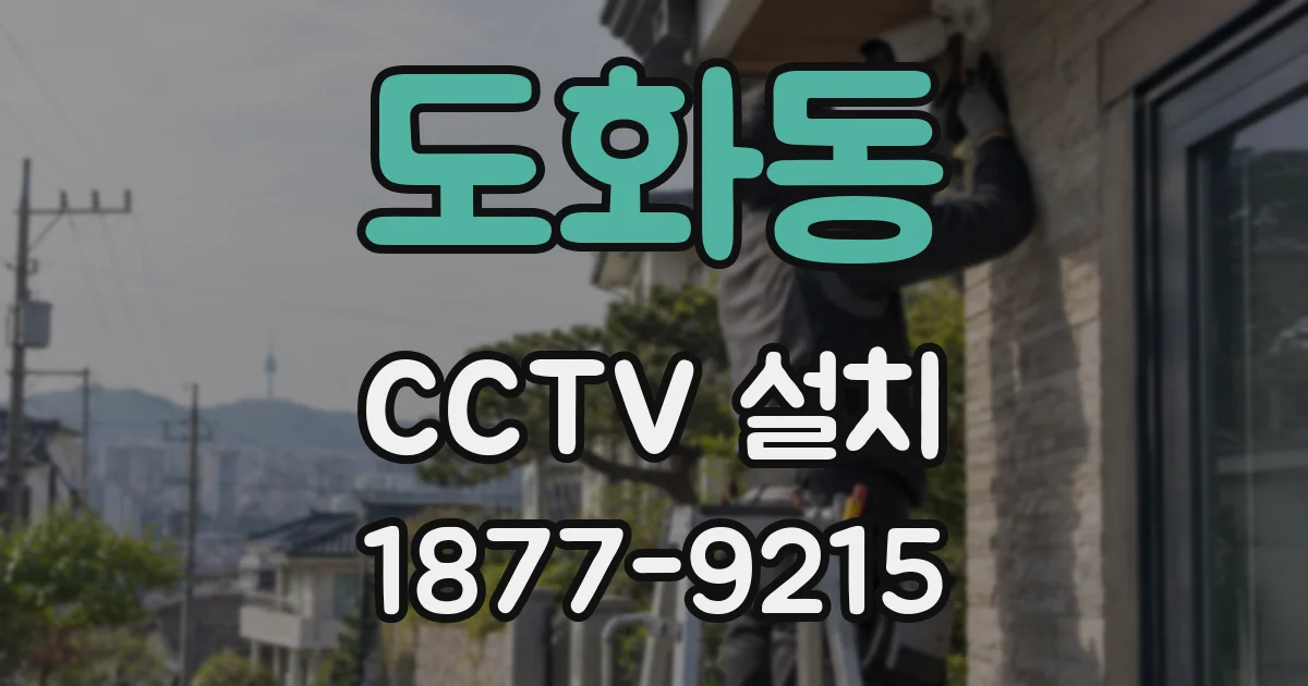 도화동 CCTV 설치