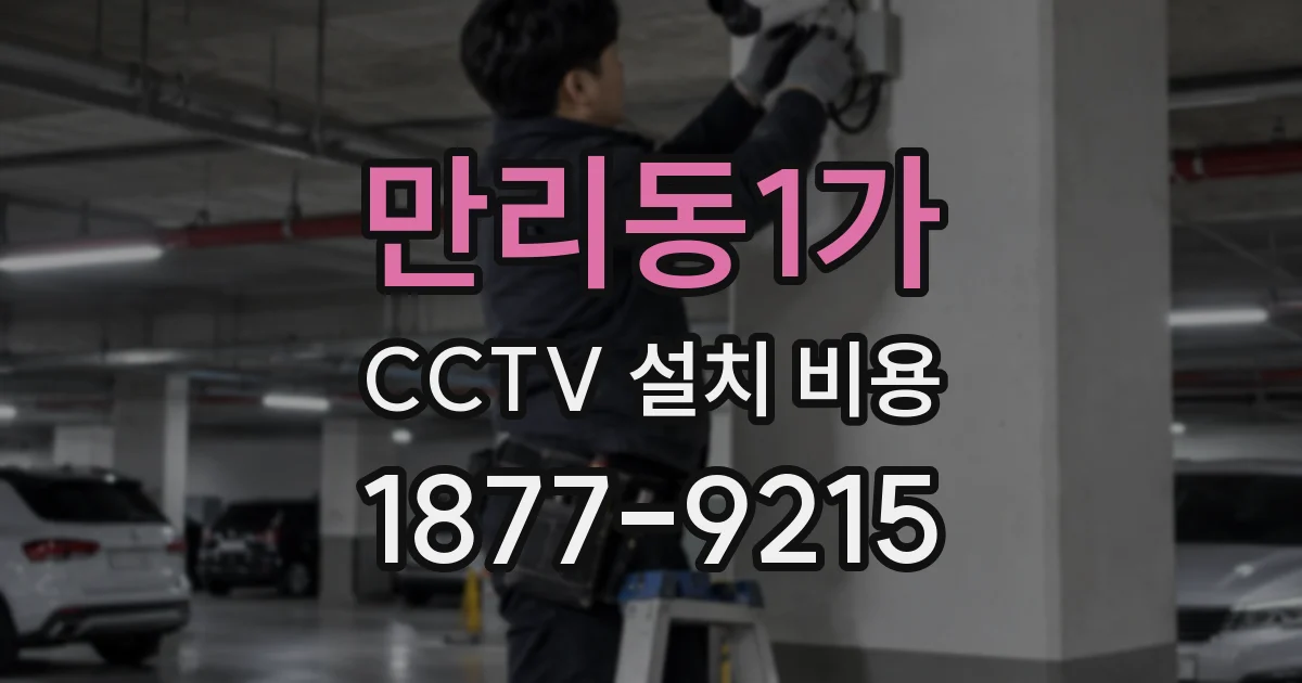 만리동1가 CCTV 설치 비용