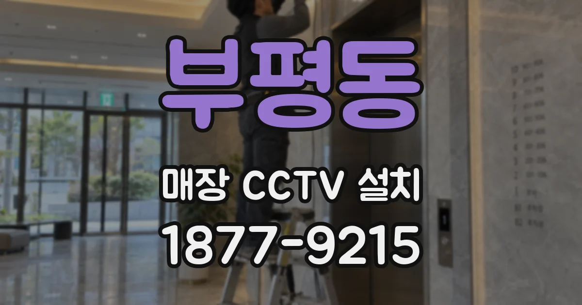 부평동 매장 CCTV 설치