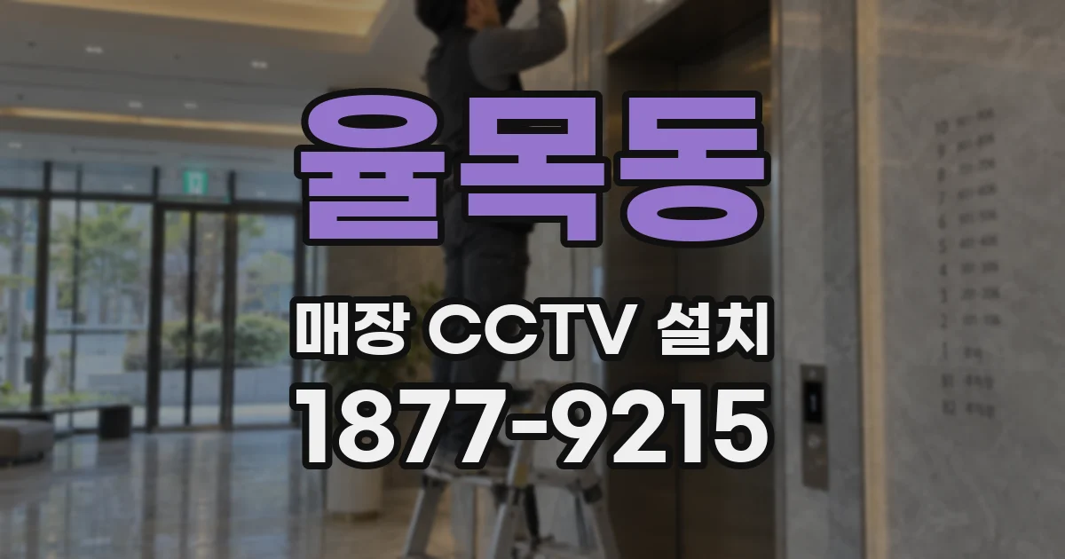 율목동 매장 CCTV 설치