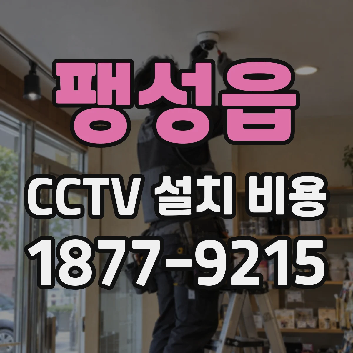 팽성읍 CCTV 설치 비용