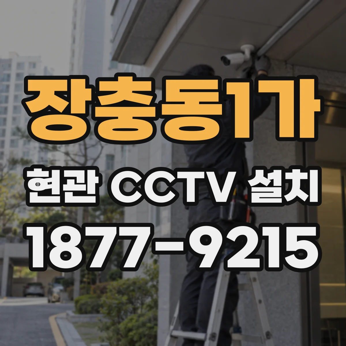 장충동1가 현관 CCTV 설치