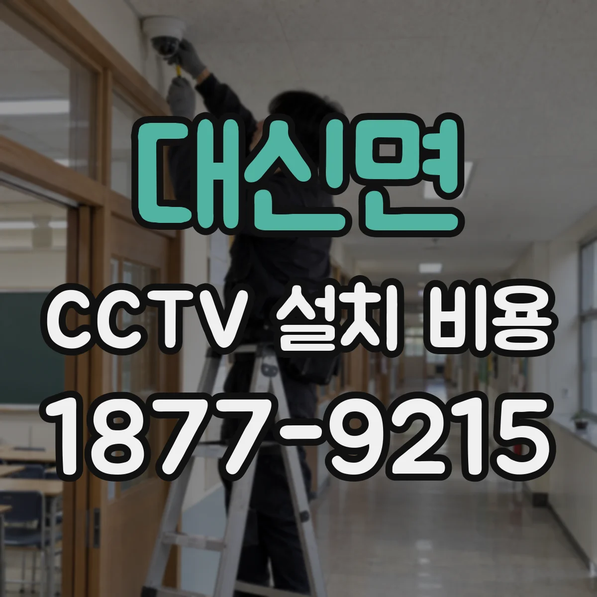 대신면 CCTV 설치 비용
