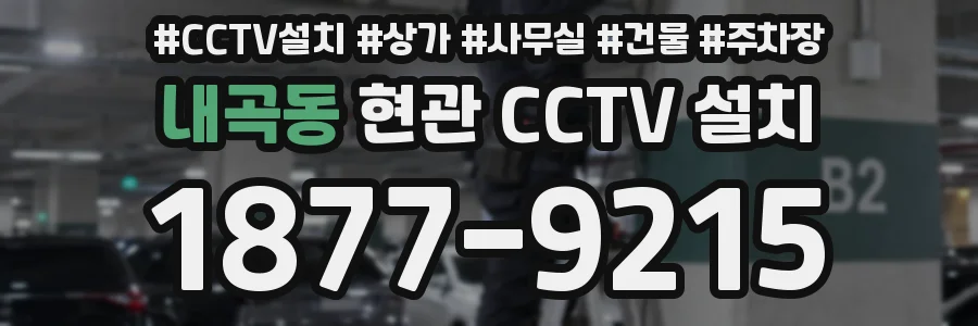 내곡동 현관 CCTV 설치