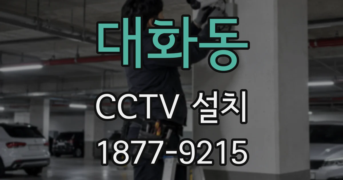 대화동 CCTV 설치