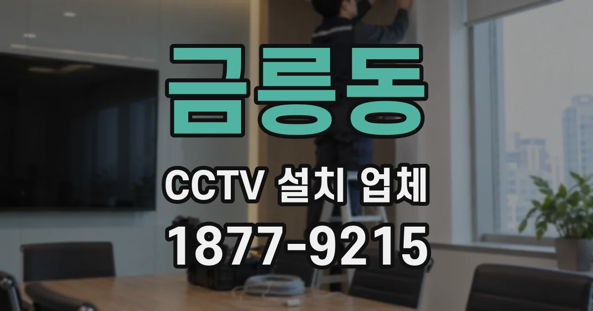 금릉동 CCTV 설치 업체