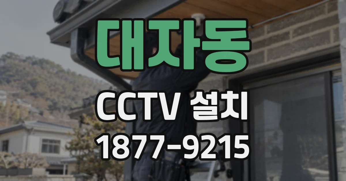 대자동 CCTV 설치