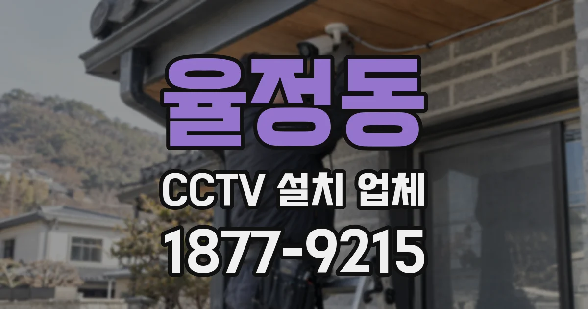 율정동 CCTV 설치 업체