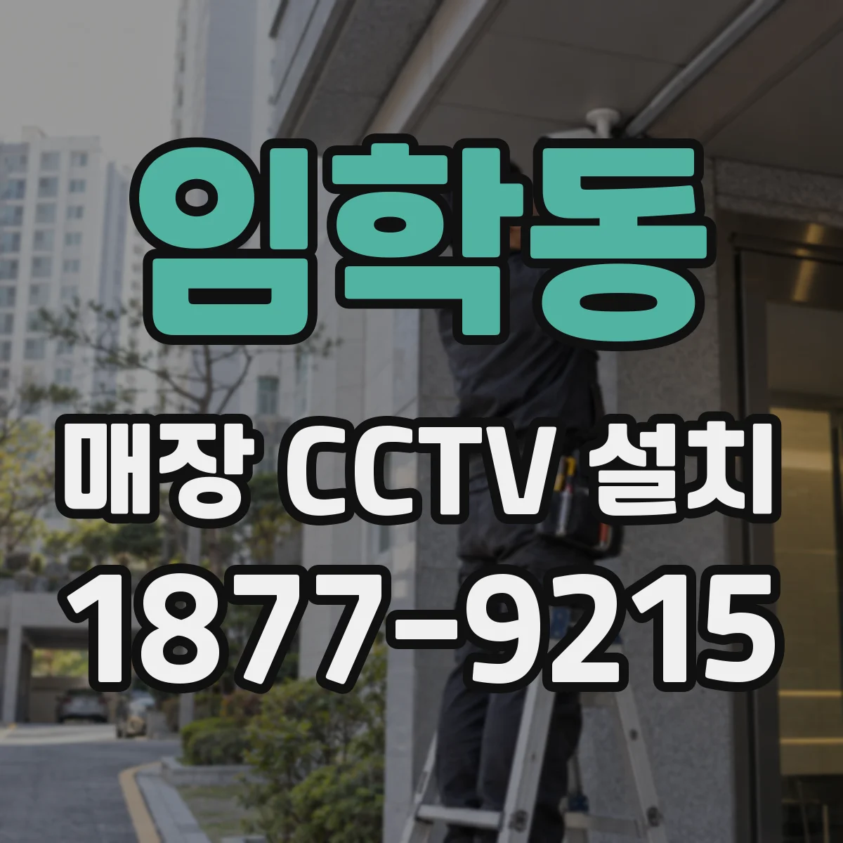 임학동 매장 CCTV 설치