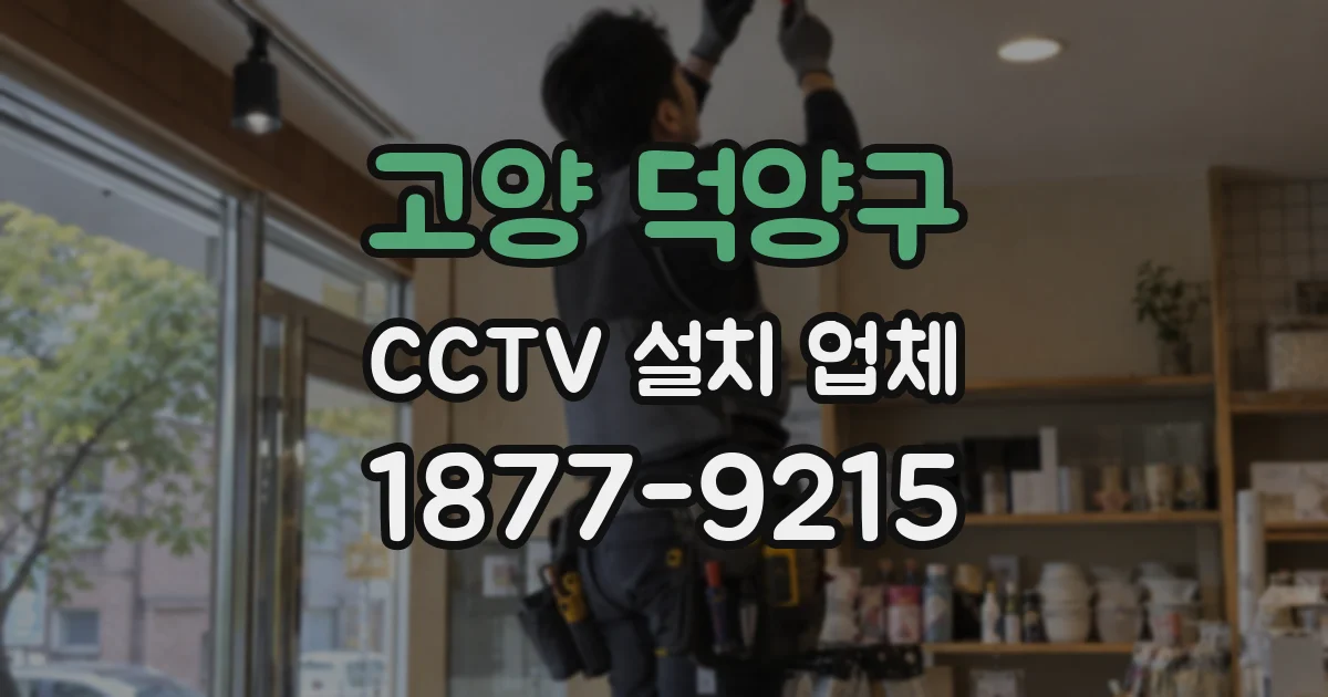 고양 덕양구 CCTV 설치 업체