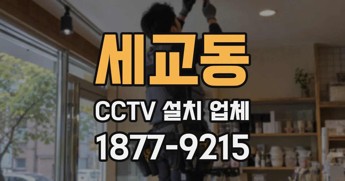 세교동 CCTV 설치 업체