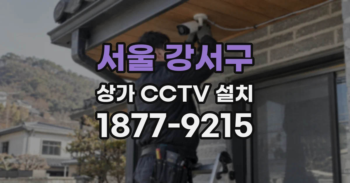서울 강서구 상가 CCTV 설치
