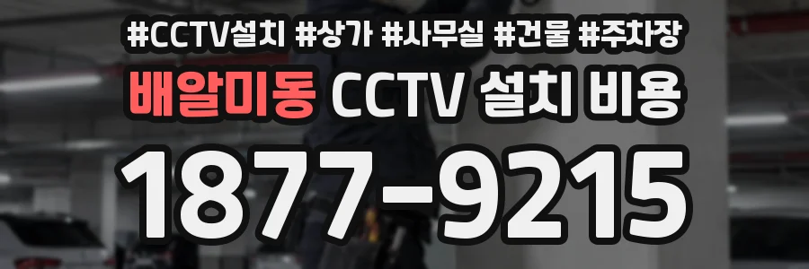 배알미동 CCTV 설치 비용
