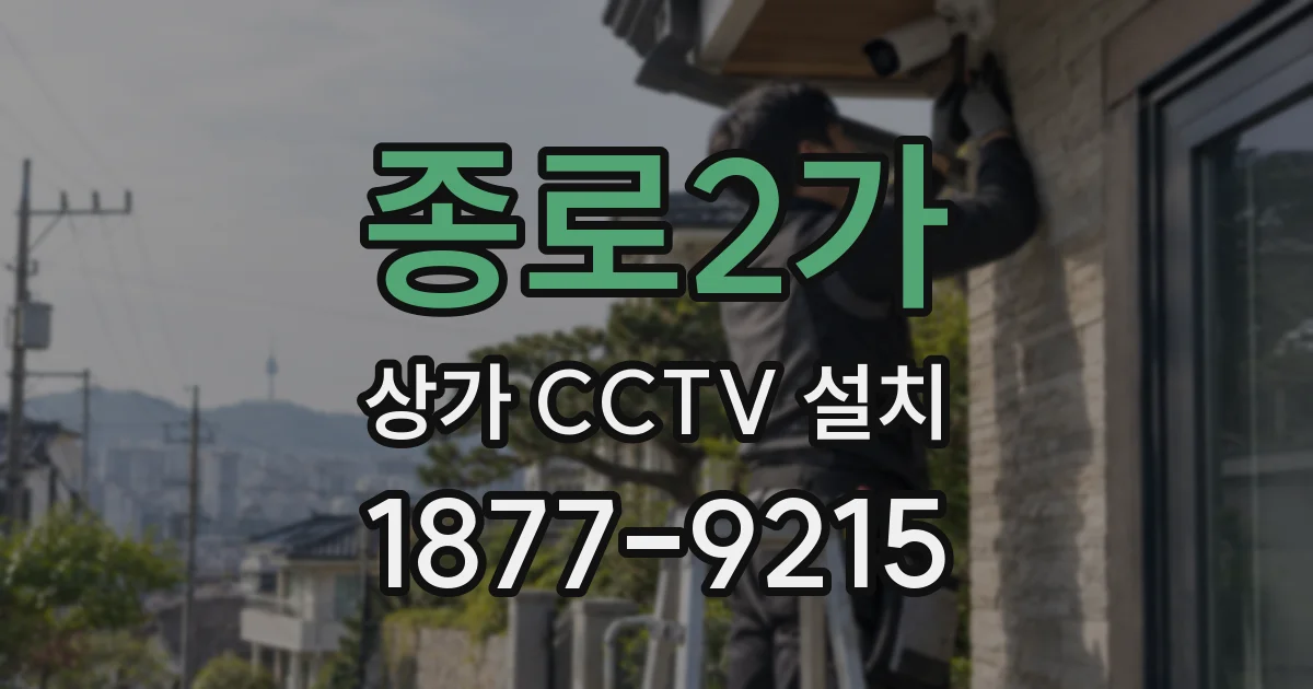 종로2가 상가 CCTV 설치
