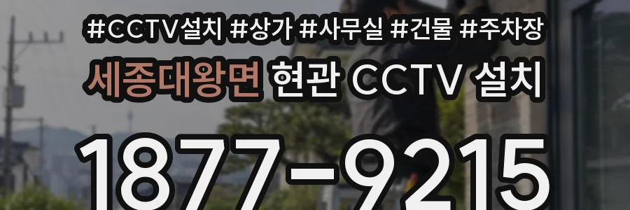 세종대왕면 현관 CCTV 설치
