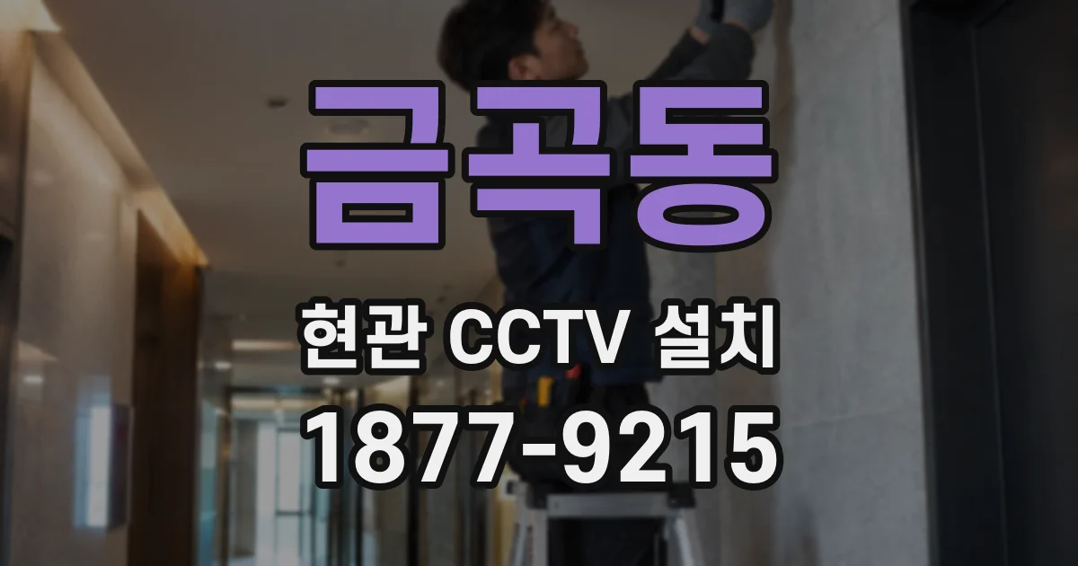 금곡동 현관 CCTV 설치