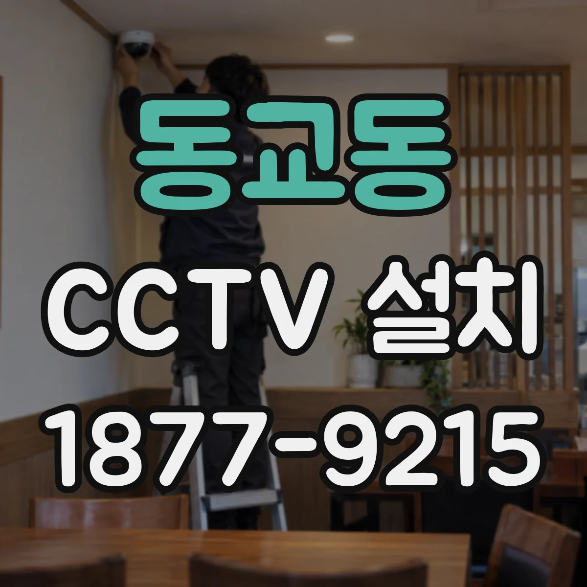 동교동 CCTV 설치