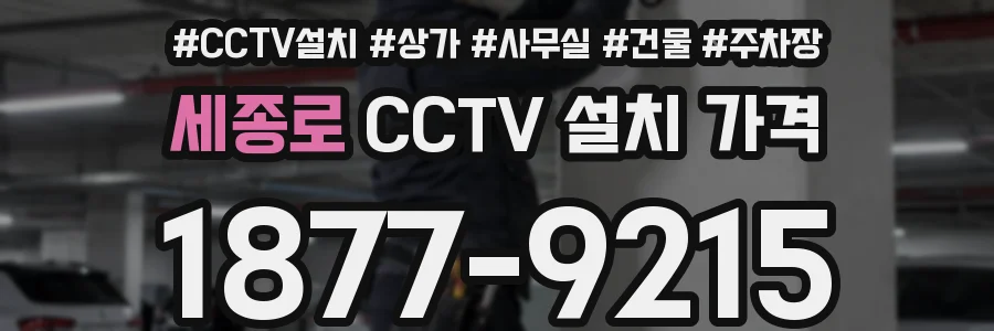 세종로 CCTV 설치 가격