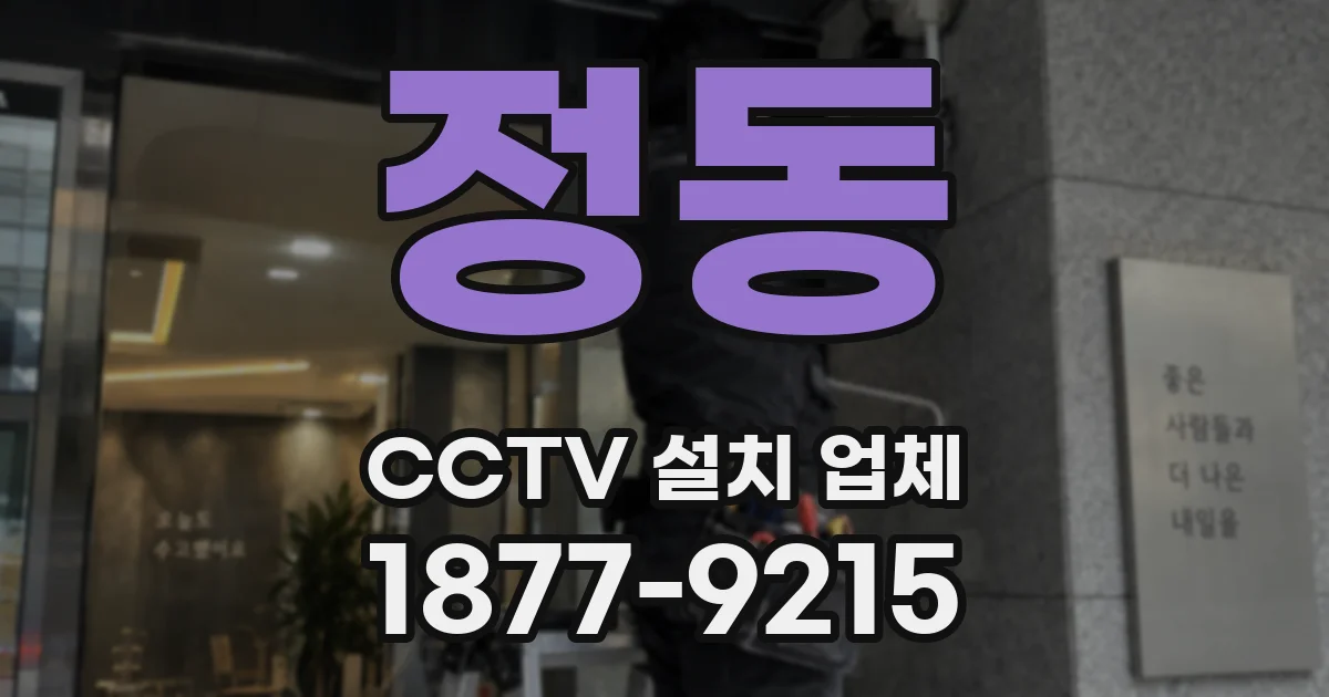 정동 CCTV 설치 업체