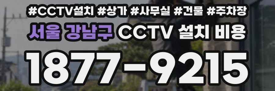 서울 강남구 CCTV 설치 비용