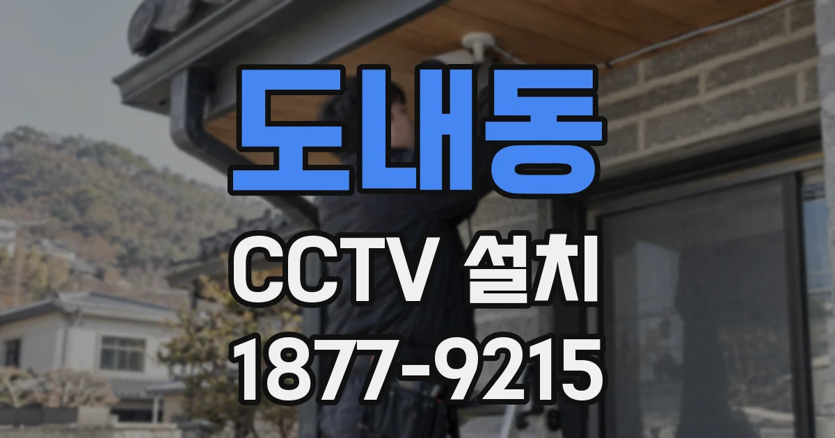 도내동 CCTV 설치