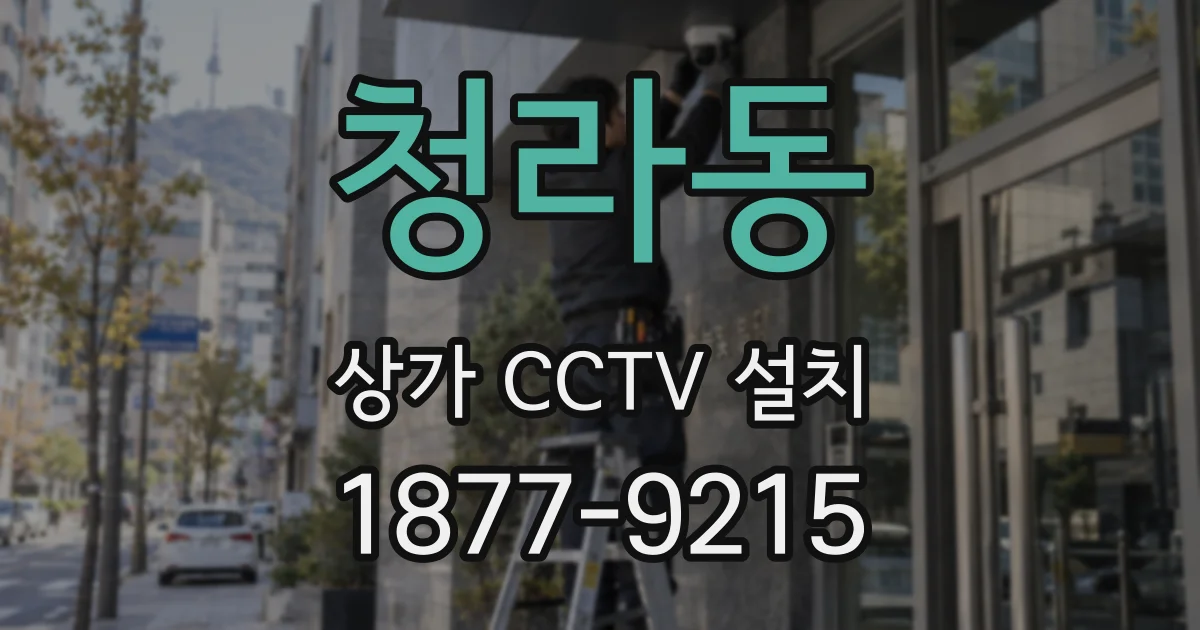 청라동 상가 CCTV 설치