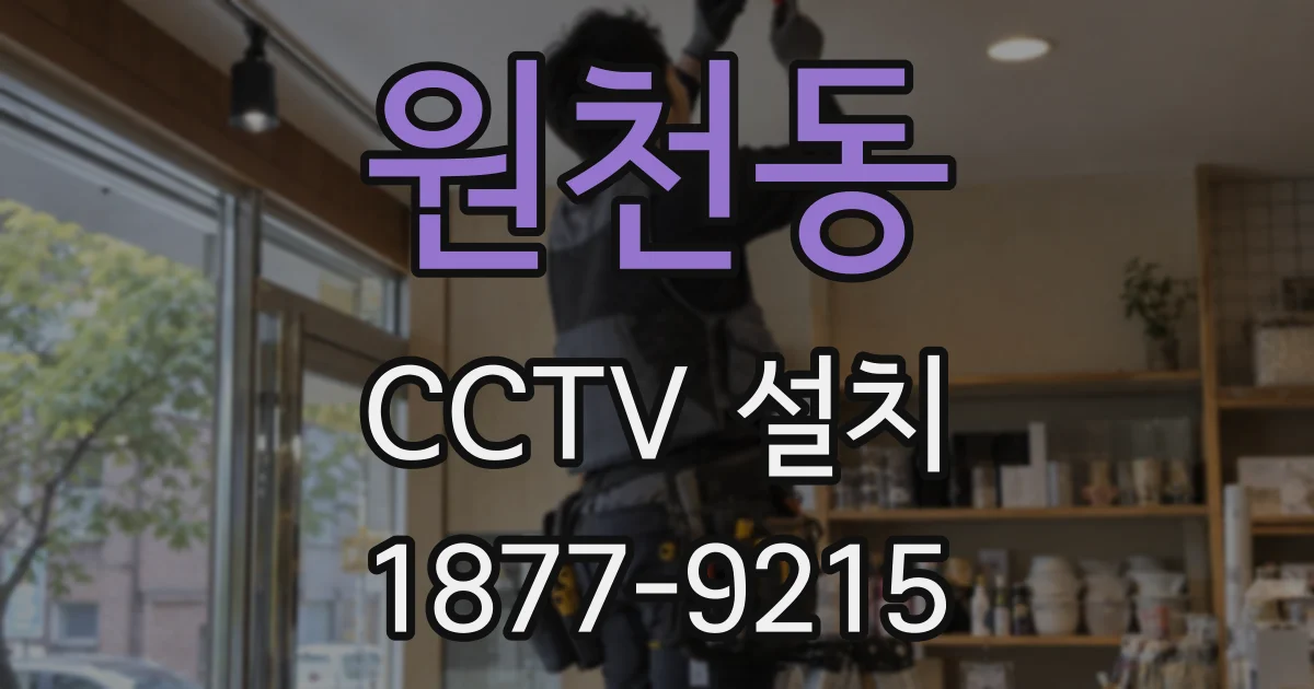 원천동 CCTV 설치