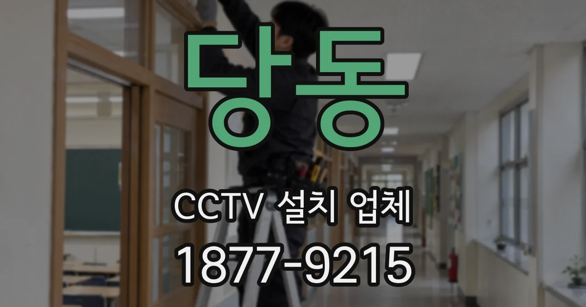 당동 CCTV 설치 업체
