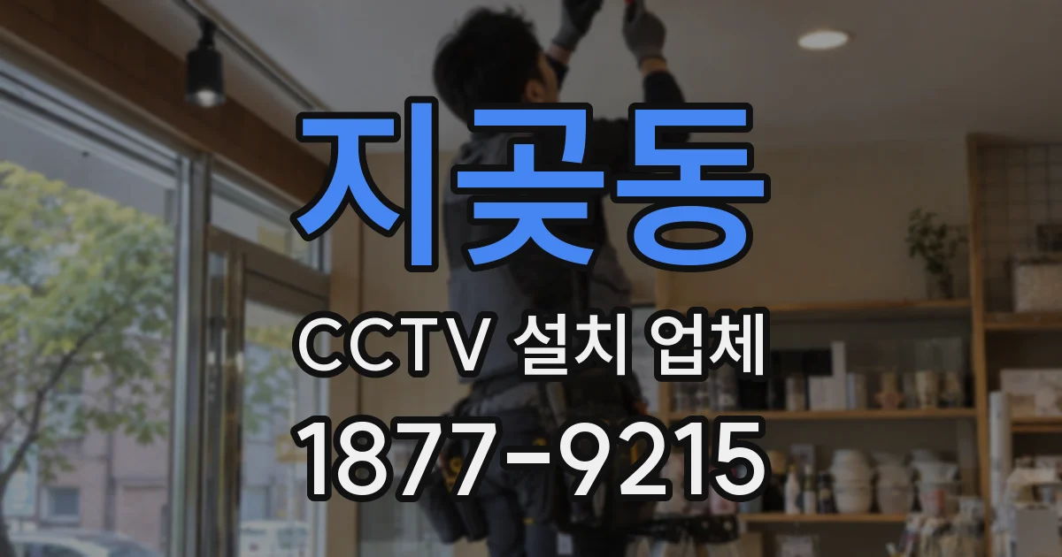 지곶동 CCTV 설치 업체