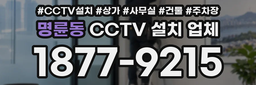 명륜동 CCTV 설치 업체