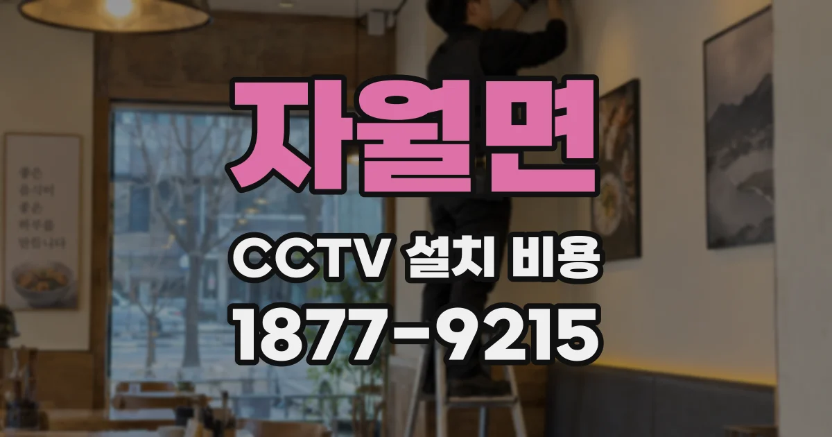 자월면 CCTV 설치 비용